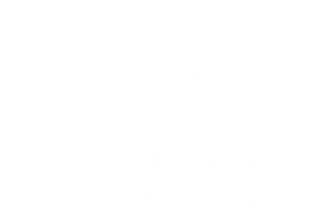PLAN DE TALENTO DIGITAL