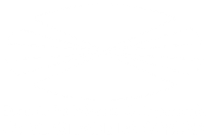 UNIVERSIDAD DE A CORUNA
